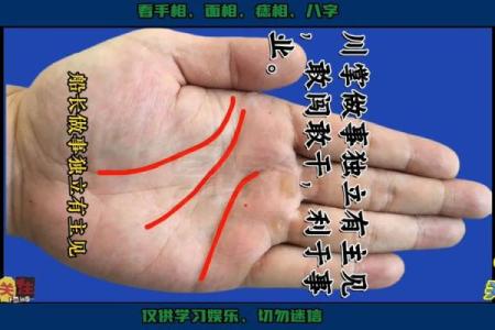 手相中的影响线揭示你未来的潜在变化与挑战