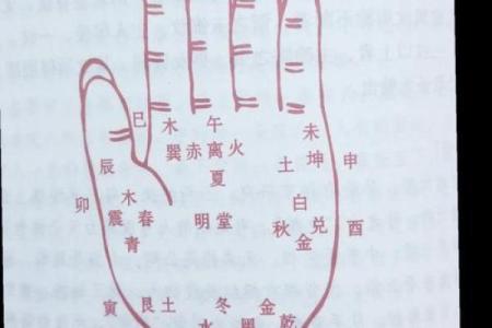 探索幸运手相的秘密：如何从手纹看见你的运势