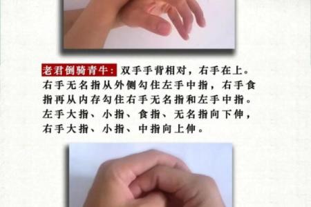 揭秘手相中的龙压虎纹路与人生运势