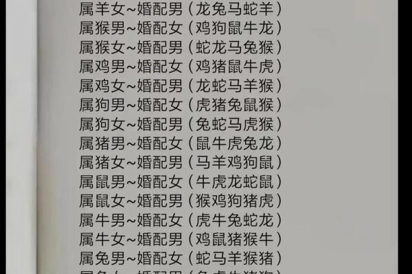 属龙女和属猪男配对的优缺点：爱情与婚姻前景如何