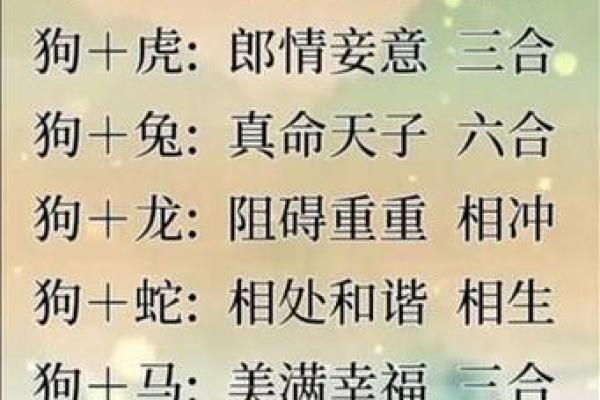 属虎女与属狗男的爱情匹配度分析