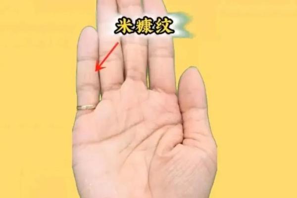 手相学的奥秘：你的手掌透露了哪些人生信息