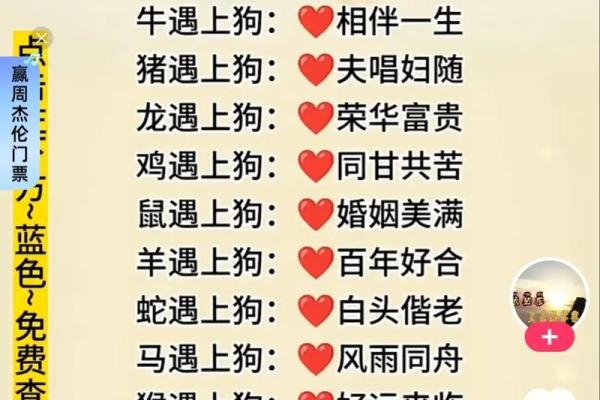 属龙男与属狗女的婚配分析：性格差异与和谐相处之道