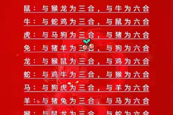 十二生肖配对法则：你与伴侣的缘分是否天作之合