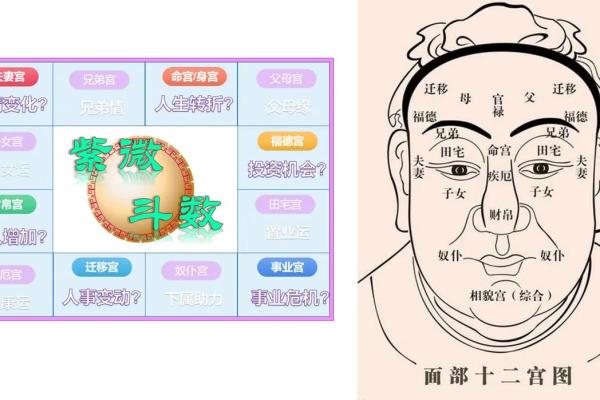 易经面相解析：如何通过面部特征解读命运与运势