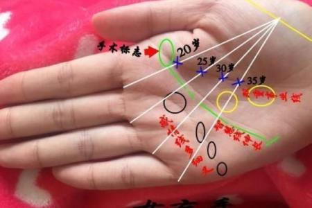 手相中的细纹：如何解读你的人生轨迹