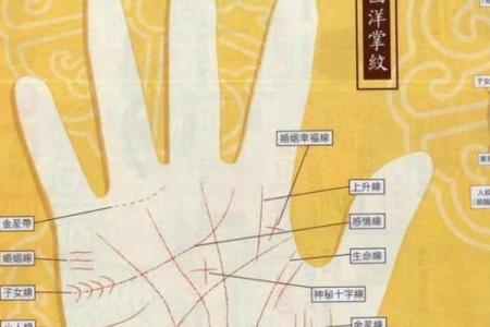 性线手相的奥秘：掌纹能告诉你什么关于情感的真相