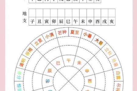 如何快速掌握天干地支的计算方法