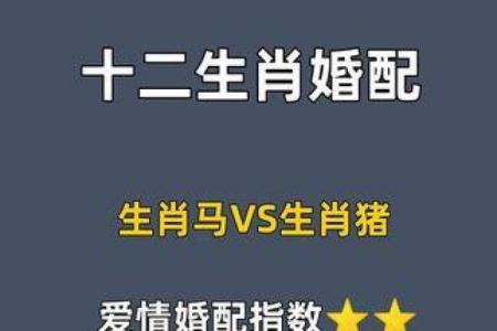 属龙女和属猪男配对的优缺点：爱情与婚姻前景如何