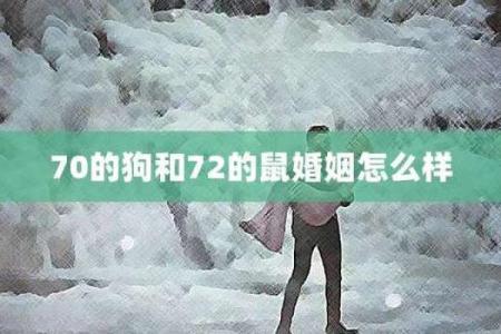 属狗与属鼠的婚配分析：优缺点与相处之道