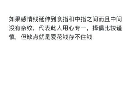 手相学的奥秘：你的手掌透露了哪些人生信息