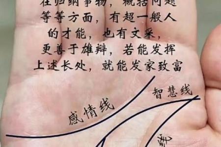 手相智慧纹如何揭示你的个性与未来趋势
