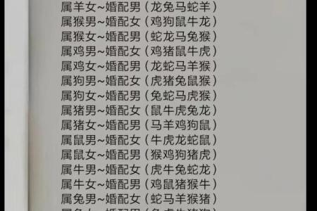 属龙男与属狗女的婚配分析：性格差异与和谐相处之道