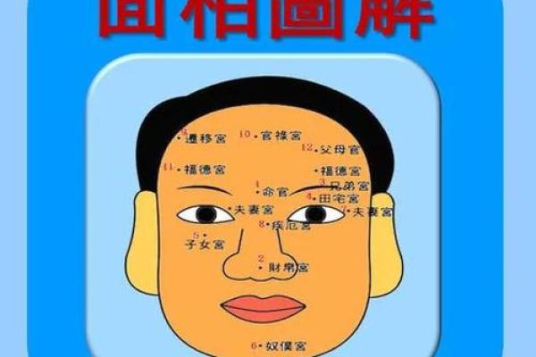 解读男人鼻子面相：如何通过鼻型判断个性与未来
