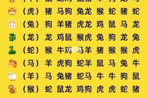 探索十二生肖相生相克的深层含义