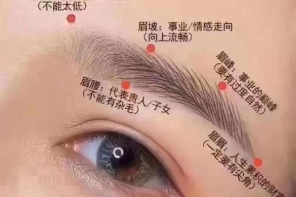 从男人眉毛看性格与运势变化