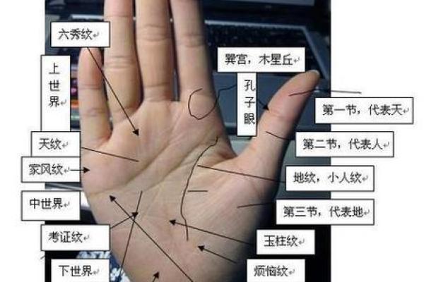 手相智能：未来趋势下的个人运势与科技结合