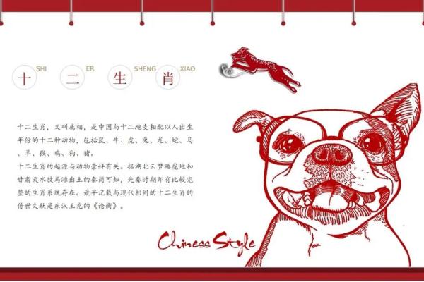 十二生肖神话故事揭秘：神秘的动物守护神与命运之力