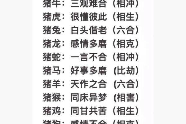 属牛与属猪的配对是否和谐？揭秘他们的相处之道