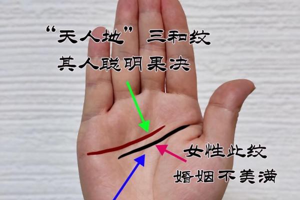 掌握双川手相的奥秘：如何通过手掌预测未来
