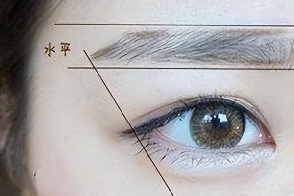 从眉毛长度看面相运势的深层含义