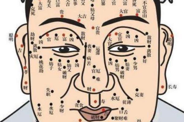 从眉毛长度看面相运势的深层含义