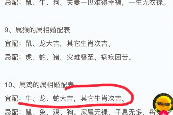 属牛和属猪的缘分如何？探讨两者的性格互补性