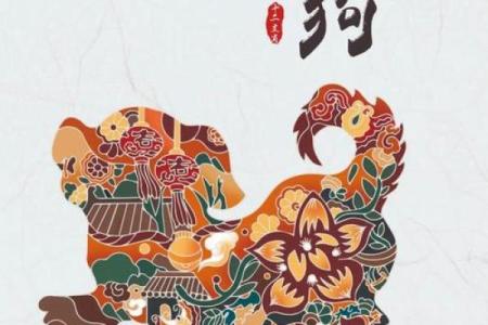 风水与宠物生意：卖狗店铺的正确布局方法