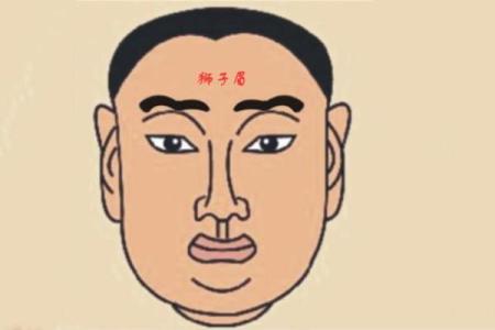 从男人眉毛看性格与运势变化