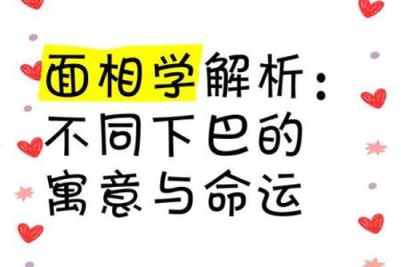 面相学下巴的不同形态与其含义