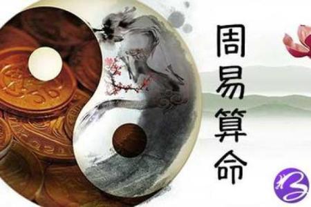八字排盘系统下载教程：一步步教你使用