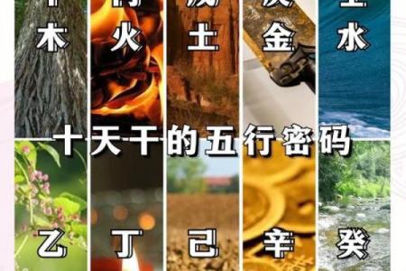 十天干与十二地支如何相互作用并影响命理分析
