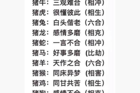 属牛与属猪的配对是否和谐？揭秘他们的相处之道