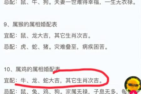属牛和属猪的缘分如何？探讨两者的性格互补性