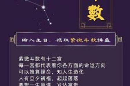 元亨利贞紫微排盘解析：如何解读命运走势与人生运程