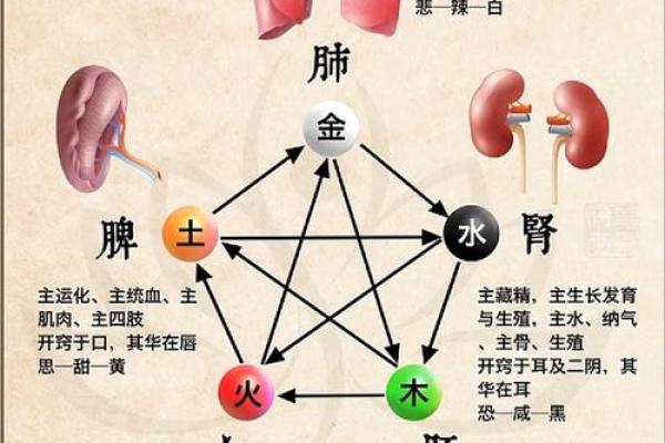 秋季五行属性解析与季节变换的关系