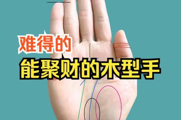 木型手相的特点与解析：是否代表好运和事业发展