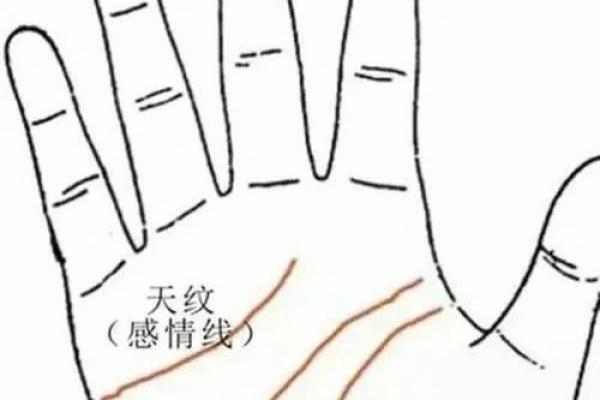 揭秘手相的奥秘：掌纹好坏对人生的影响