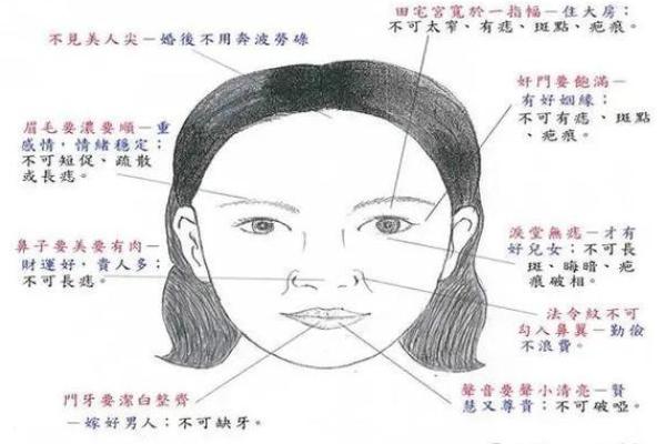 高鼻梁面相解析与命运走势分析