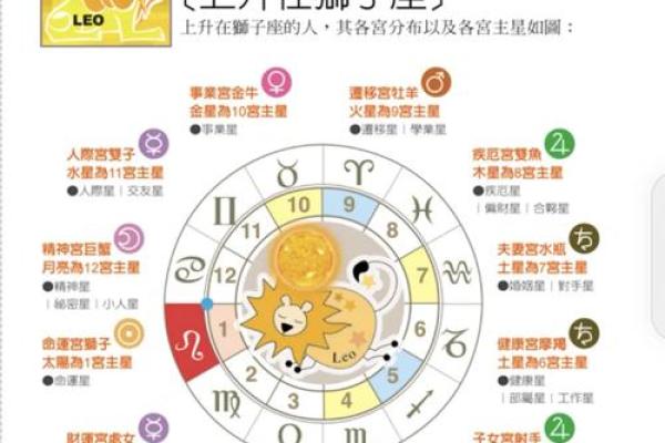 今日狮子座运势解析：聚焦事业与情感的新机遇