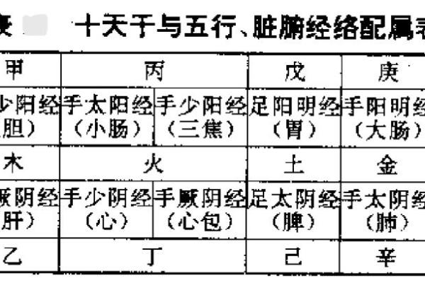 十天干与人体各部位的神秘联系解析