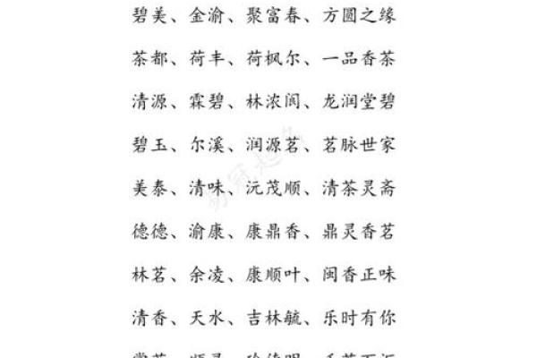 如何为三人合伙公司起一个既独特又有创意的名字