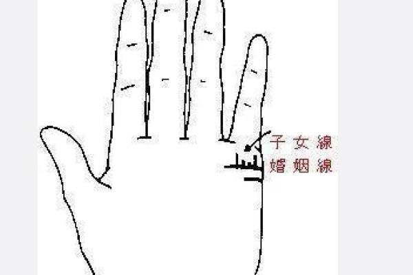 如何理解少奶奶命：富贵与自由的平衡