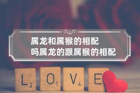 属猴男和属猴女在爱情中的默契与冲突