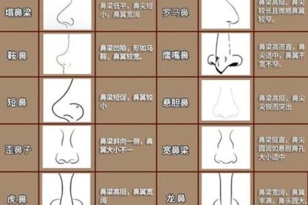 高鼻梁面相解析与命运走势分析