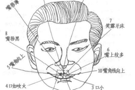 女人嘴巴面相学：从嘴唇形态看你的情感世界