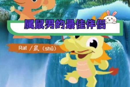 属鼠男和属龙女的配对解析：优势与挑战并存