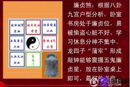 死鱼影响风水？如何化解并正确处理
