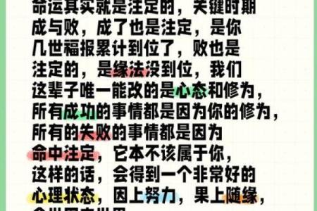 右命的概念与应用：探索命运中的右命之道