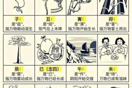 天干三壬命硬的特点及其命运走向
